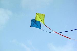 scenic kite