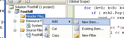 IDE shot